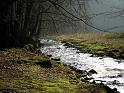 2014-03-09,_Polenztal (7)